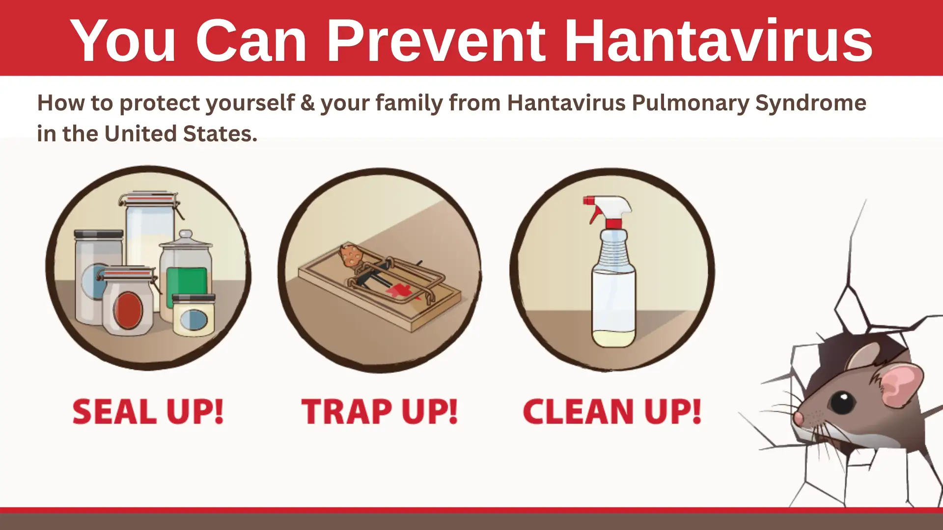 Hantavirus Prevention Information
