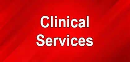 Clinical/Medical/Immunization/Personal Health Services