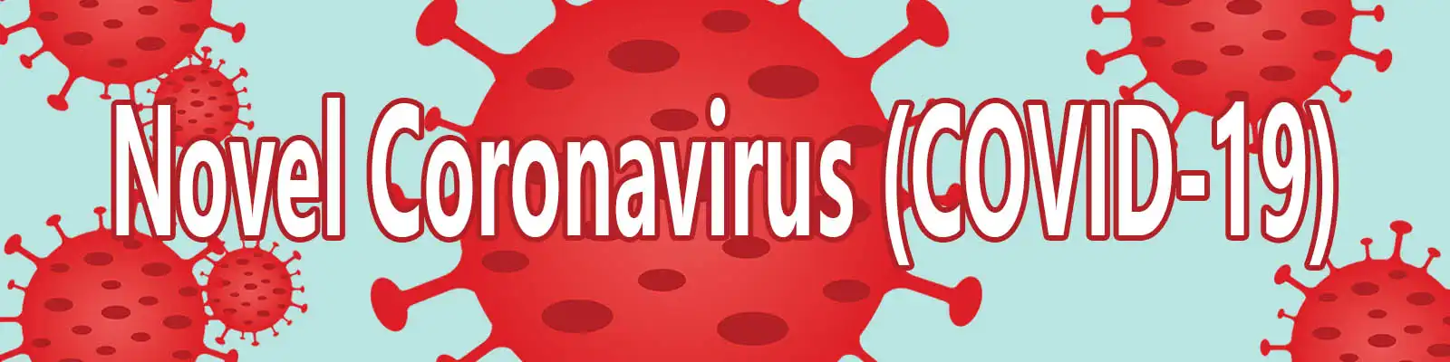 Novel Coronavirus (COVID-19)